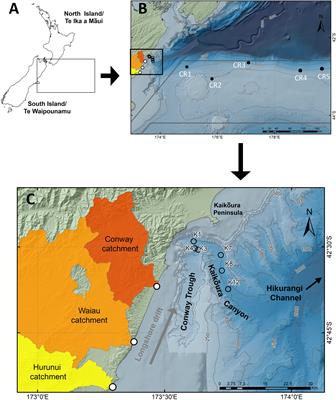 Novel Application of a Compound-Specific Stable Isotope (CSSI) Tracking Technique Demonstrates Connectivity Between Terrestrial and Deep-Sea Ecosystems via Submarine Canyons